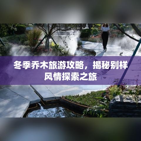 冬季喬木旅游攻略，揭秘別樣風(fēng)情探索之旅