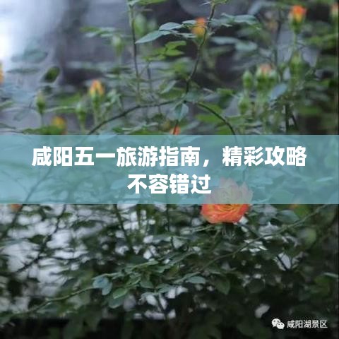 咸陽五一旅游指南，精彩攻略不容錯過