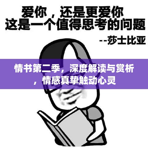 情書第二季，深度解讀與賞析，情感真摯觸動心靈