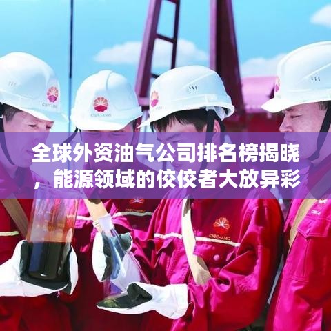全球外資油氣公司排名榜揭曉，能源領(lǐng)域的佼佼者大放異彩！