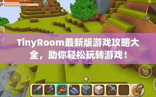 TinyRoom最新版游戲攻略大全，助你輕松玩轉(zhuǎn)游戲！