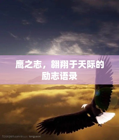 鷹之志，翱翔于天際的勵(lì)志語(yǔ)錄