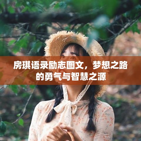 房琪語(yǔ)錄勵(lì)志圖文，夢(mèng)想之路的勇氣與智慧之源