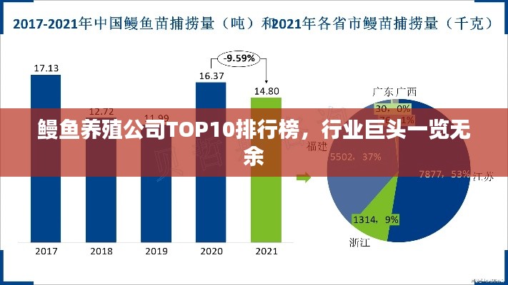 鰻魚養(yǎng)殖公司TOP10排行榜，行業(yè)巨頭一覽無余