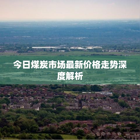 今日煤炭市場最新價格走勢深度解析
