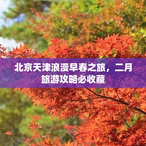 北京天津浪漫早春之旅，二月旅游攻略必收藏