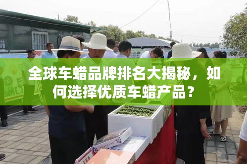 全球車(chē)蠟品牌排名大揭秘，如何選擇優(yōu)質(zhì)車(chē)蠟產(chǎn)品？