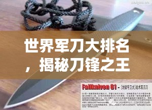 世界軍刀大排名，揭秘刀鋒之王的神秘面紗！