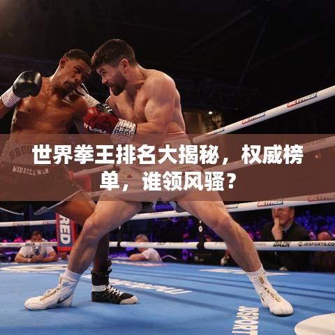 世界拳王排名大揭秘，權威榜單，誰領風騷？
