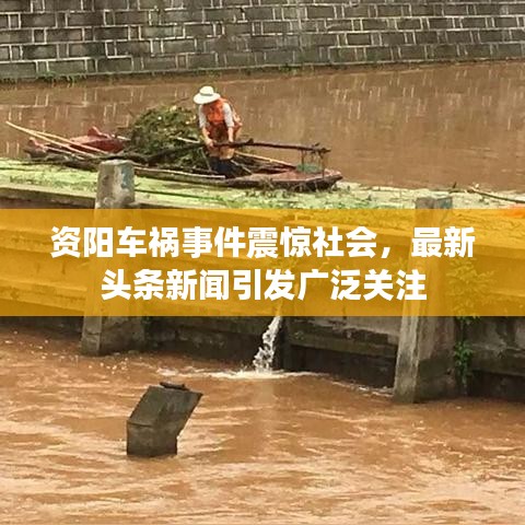 資陽車禍?zhǔn)录痼@社會(huì)，最新頭條新聞引發(fā)廣泛關(guān)注