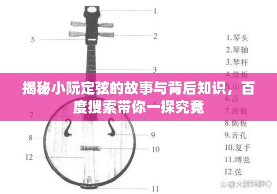 揭秘小阮定弦的故事與背后知識(shí)，百度搜索帶你一探究竟