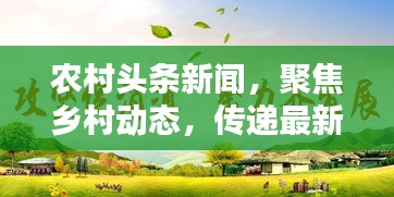 農(nóng)村頭條新聞，聚焦鄉(xiāng)村動(dòng)態(tài)，傳遞最新資訊