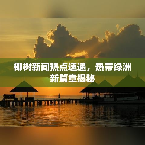 椰樹新聞熱點速遞，熱帶綠洲新篇章揭秘