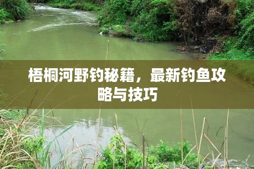 梧桐河野釣秘籍，最新釣魚攻略與技巧