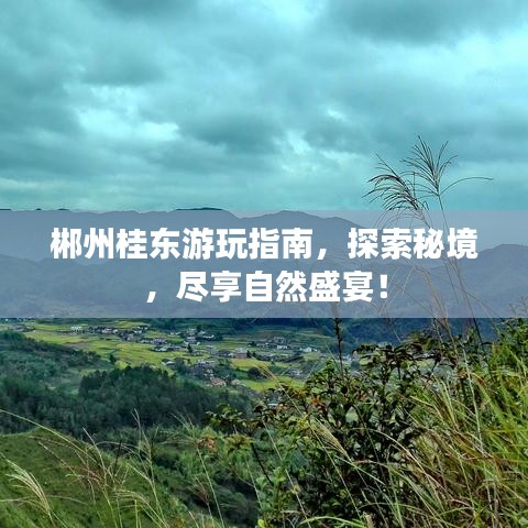 郴州桂東游玩指南，探索秘境，盡享自然盛宴！