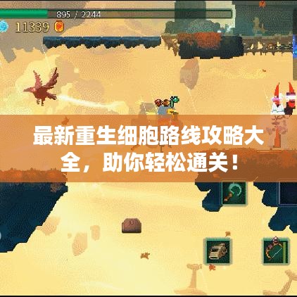 最新重生細(xì)胞路線攻略大全，助你輕松通關(guān)！