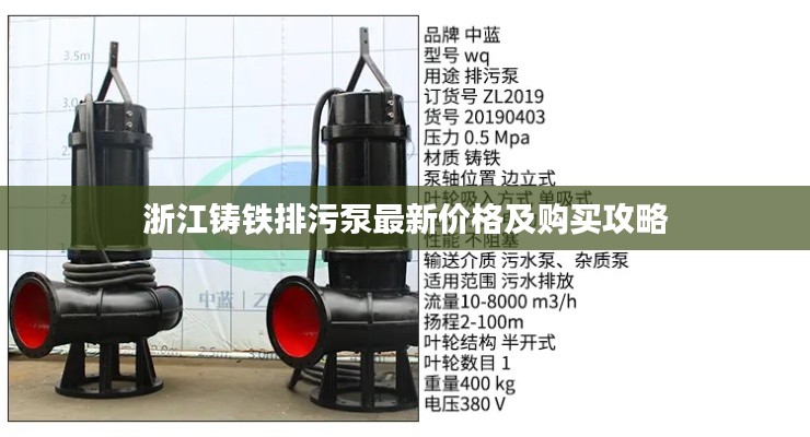 浙江鑄鐵排污泵最新價(jià)格及購(gòu)買(mǎi)攻略