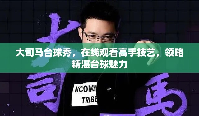 大司馬臺球秀，在線觀看高手技藝，領(lǐng)略精湛臺球魅力