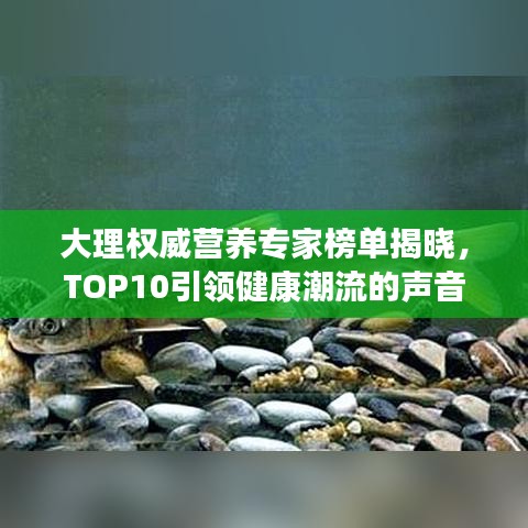 大理權威營養(yǎng)專家榜單揭曉，TOP10引領健康潮流的聲音