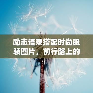 勵志語錄搭配時尚服裝圖片，前行路上的靈感源泉