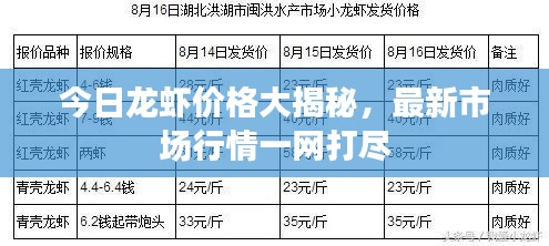 今日龍蝦價(jià)格大揭秘，最新市場(chǎng)行情一網(wǎng)打盡