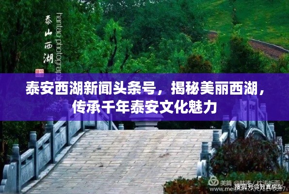 泰安西湖新聞頭條號，揭秘美麗西湖，傳承千年泰安文化魅力