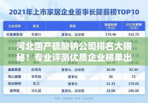 河北國產硫酸鈉公司排名大揭秘！專業(yè)評測優(yōu)質企業(yè)榜單出爐！