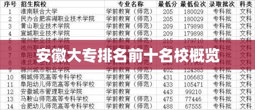 安徽大專排名前十名校概覽