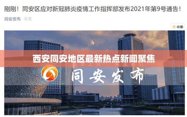 西安同安地區(qū)最新熱點(diǎn)新聞聚焦