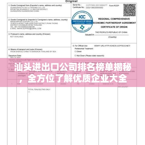 汕頭進出口公司排名榜單揭秘，全方位了解優(yōu)質企業(yè)大全