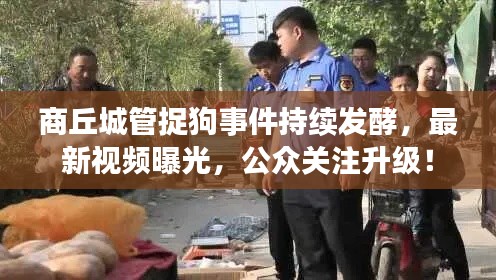 商丘城管捉狗事件持續(xù)發(fā)酵，最新視頻曝光，公眾關(guān)注升級！