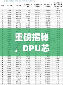 重磅揭秘，DPU芯片公司排名及行業(yè)深度剖析！