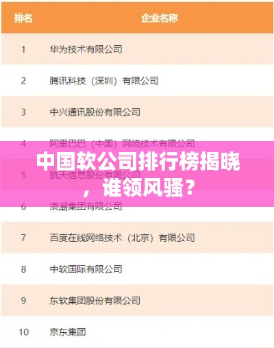中國軟公司排行榜揭曉，誰領(lǐng)風(fēng)騷？