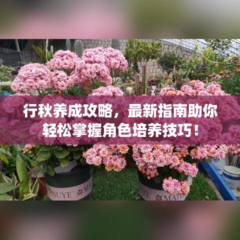 行秋養(yǎng)成攻略，最新指南助你輕松掌握角色培養(yǎng)技巧！