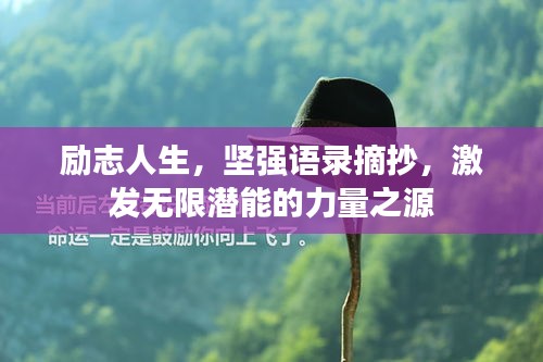 勵志人生，堅強語錄摘抄，激發(fā)無限潛能的力量之源