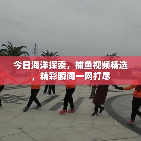 今日海洋探索，捕魚(yú)視頻精選，精彩瞬間一網(wǎng)打盡