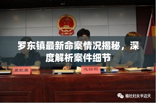 羅東鎮(zhèn)最新命案情況揭秘，深度解析案件細節(jié)