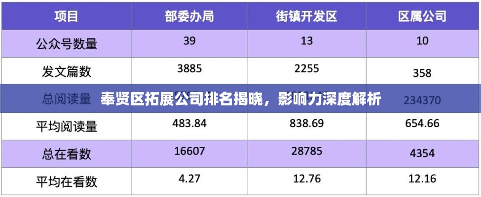 奉賢區(qū)拓展公司排名揭曉，影響力深度解析