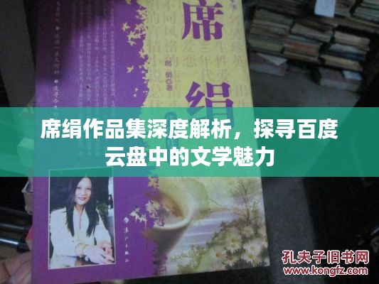 席絹?zhàn)髌芳疃冉馕觯綄ぐ俣仍票P中的文學(xué)魅力