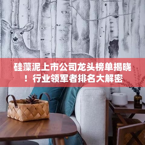 硅藻泥上市公司龍頭榜單揭曉！行業(yè)領軍者排名大解密