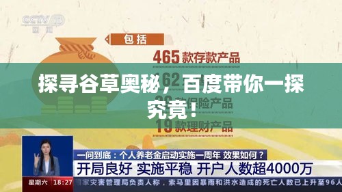 探尋谷草奧秘，百度帶你一探究竟！