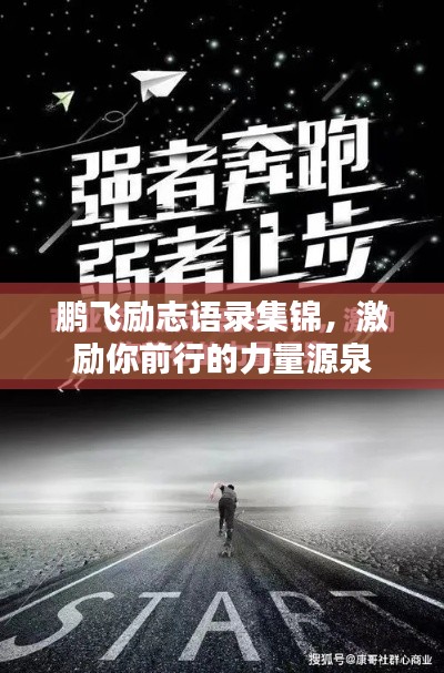 鵬飛勵志語錄集錦，激勵你前行的力量源泉