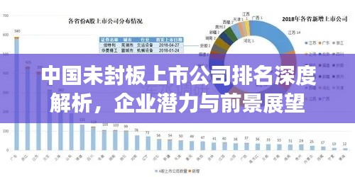 中國未封板上市公司排名深度解析，企業(yè)潛力與前景展望