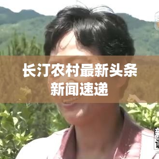 長(zhǎng)汀農(nóng)村最新頭條新聞速遞