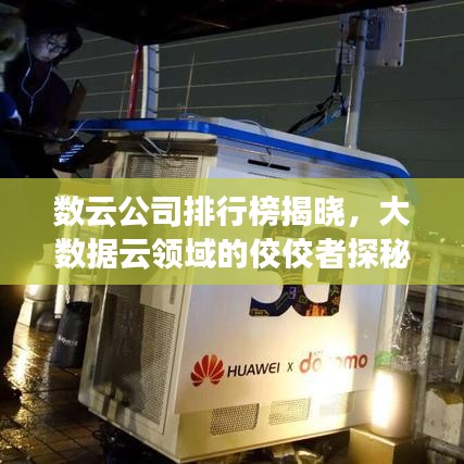數(shù)云公司排行榜揭曉，大數(shù)據(jù)云領(lǐng)域的佼佼者探秘