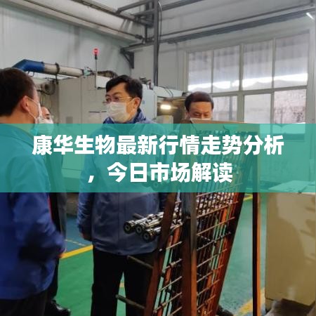 康華生物最新行情走勢分析，今日市場解讀