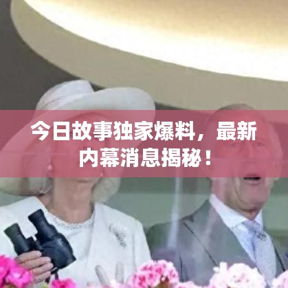 今日故事獨家爆料，最新內(nèi)幕消息揭秘！