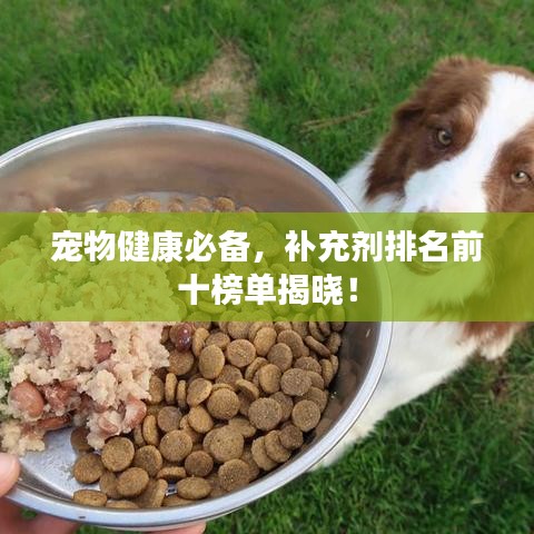 寵物健康必備，補充劑排名前十榜單揭曉！