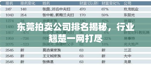東莞拍賣公司排名揭秘，行業(yè)翹楚一網(wǎng)打盡