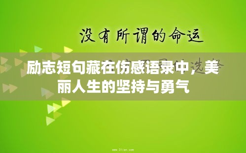 勵(lì)志短句藏在傷感語(yǔ)錄中，美麗人生的堅(jiān)持與勇氣